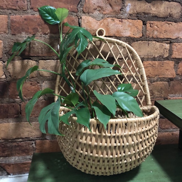 Urban Outfitters Other - Rounded wicker wall planter